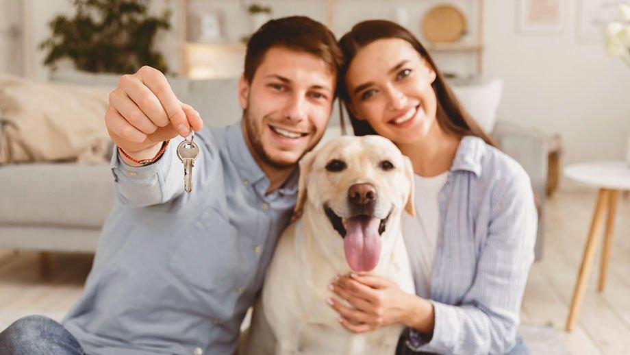 Colonias con mayor plusvalía en CDMX para vivir con tu mascota