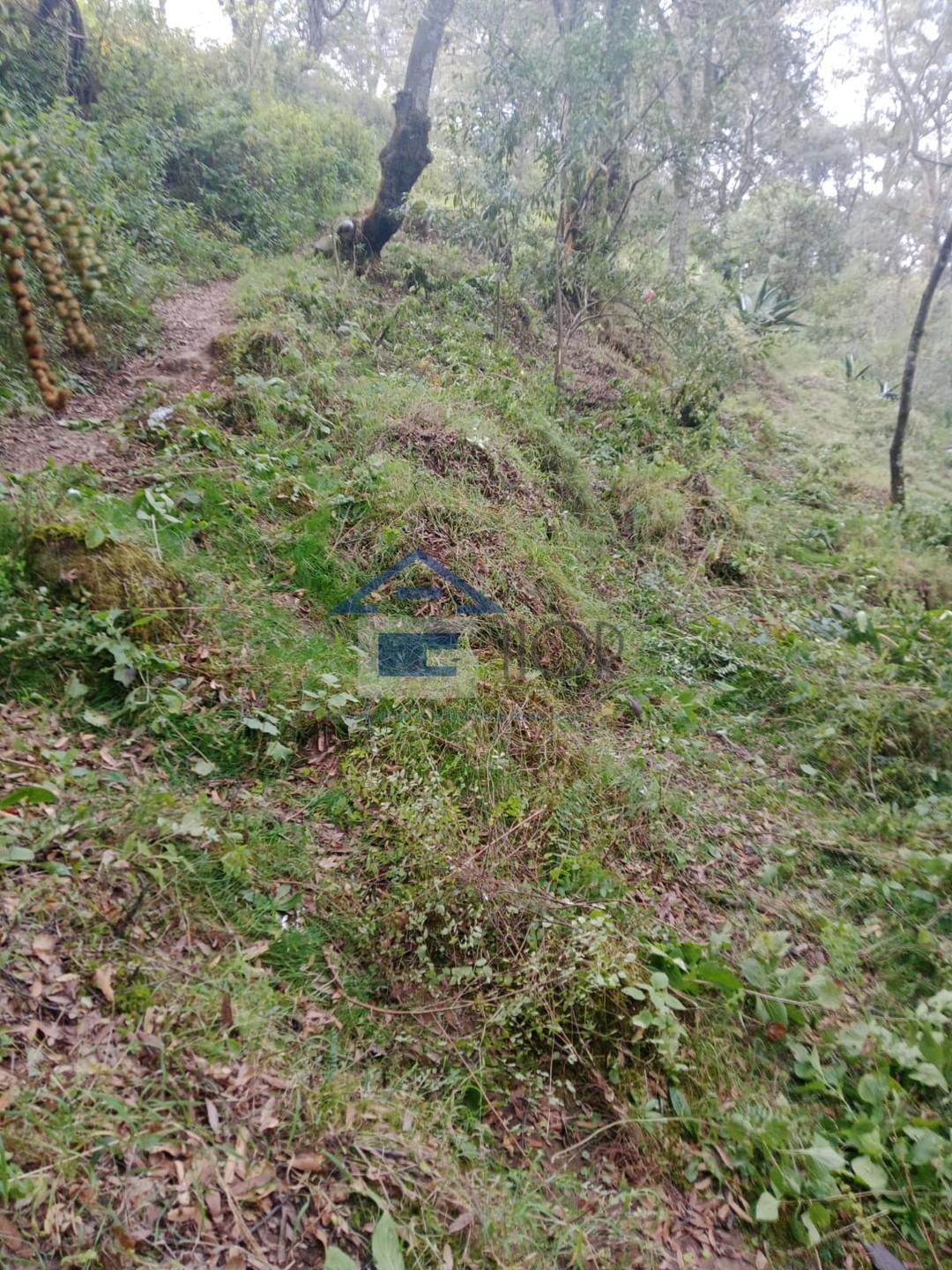 Terreno en venta en Santa María Zolotepec, Estado de México