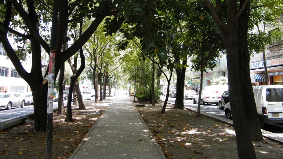 Alta plusvalía en las colonias que presentamos